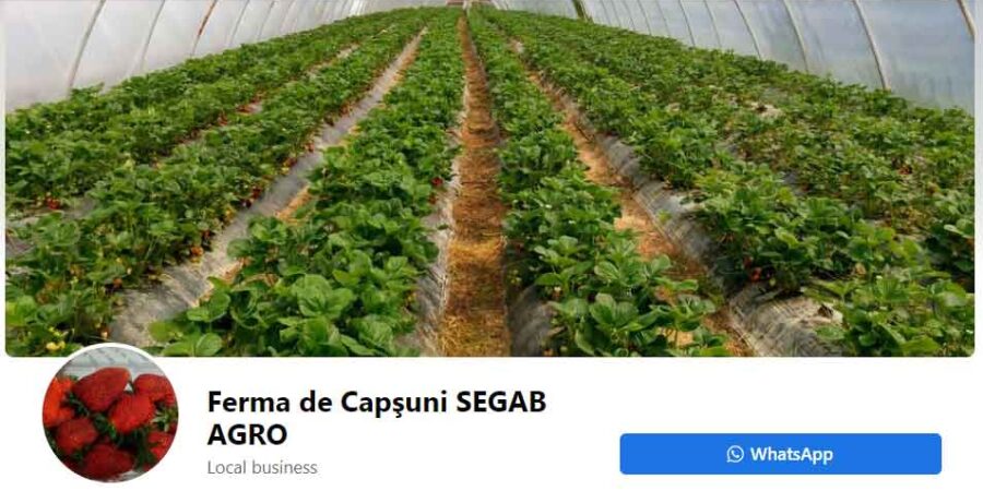 ferma-capsuni-agro